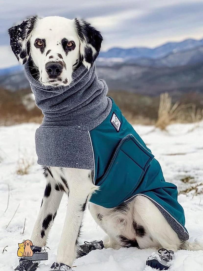 The Faux Fur Trimmed Parka