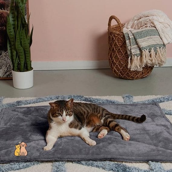 The Faux Fur Heated Donut Bed