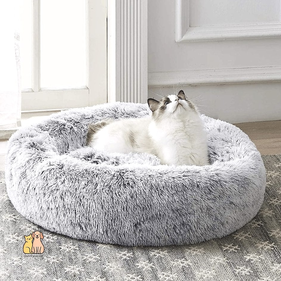 The Faux Fur Igloo Bed