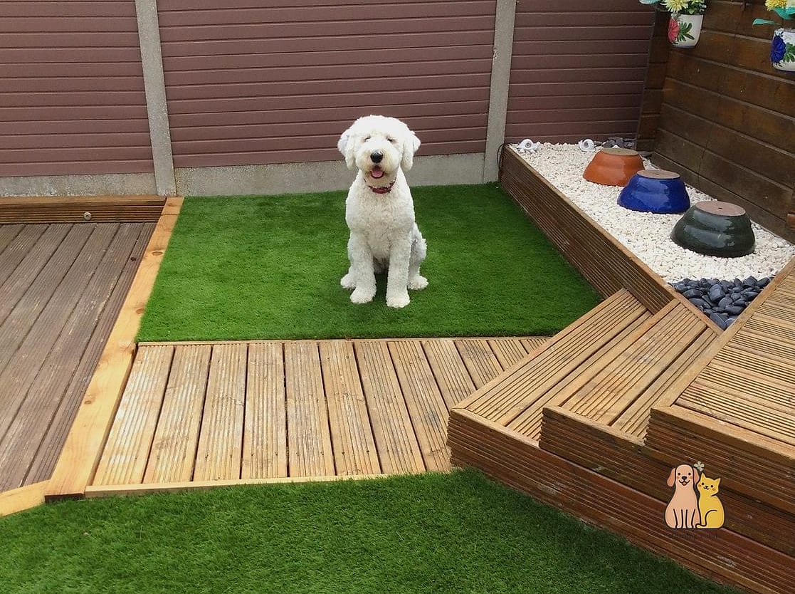 30 Perfect Dog Friendly Living Room Ideas That Will Inspire You 21 A Faux Grass or Turf Accent Rug
