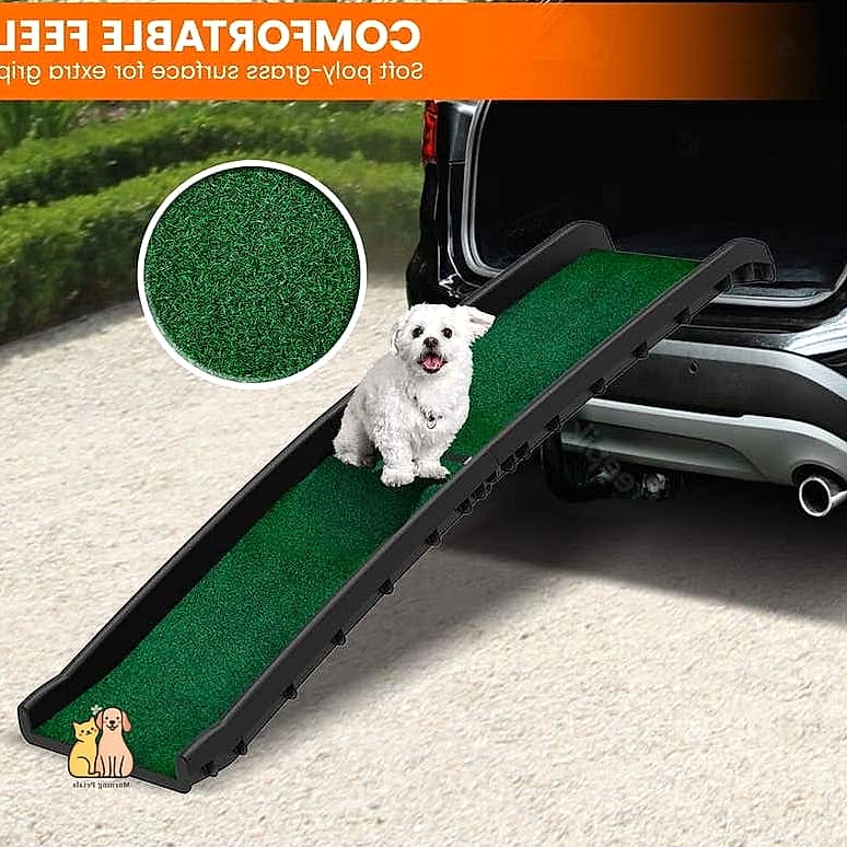 The Faux Grass Outdoor Ramp