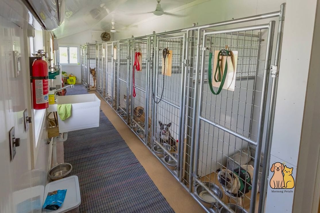 24 Easy Dog Boarding Facility Ideas That Will Inspire You 11 Feeding Stations with Slow Feeder Bowls