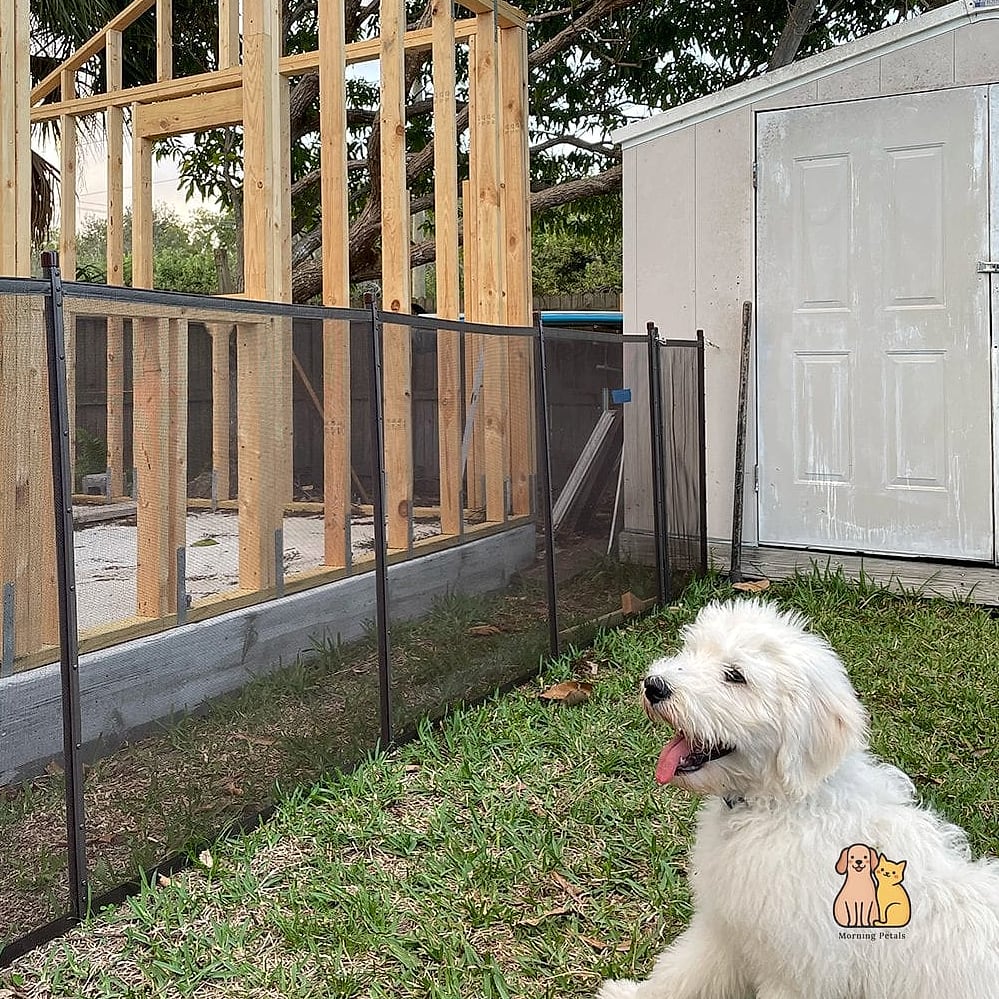 25 Simple Dog Yard Ideas to Try Right Now 7 A Fenced-In Puppy Zone