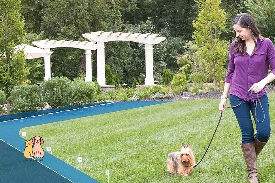 A Fenced-In Wading Pool With Drainage Gravel