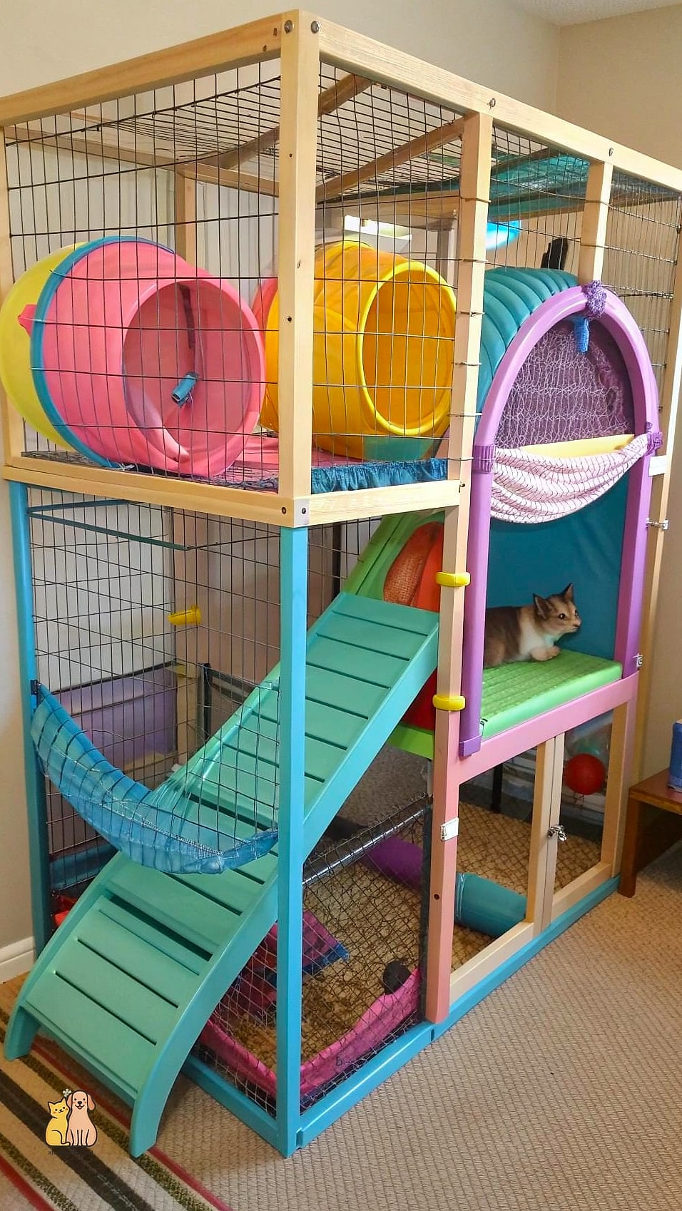 A Ferret Playroom Conversion
