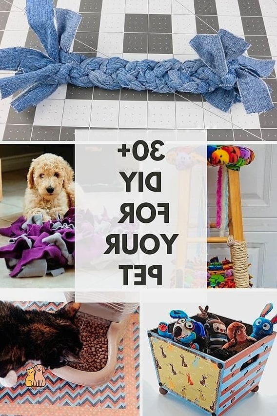 Final Thoughts on DIY Dog Beds
