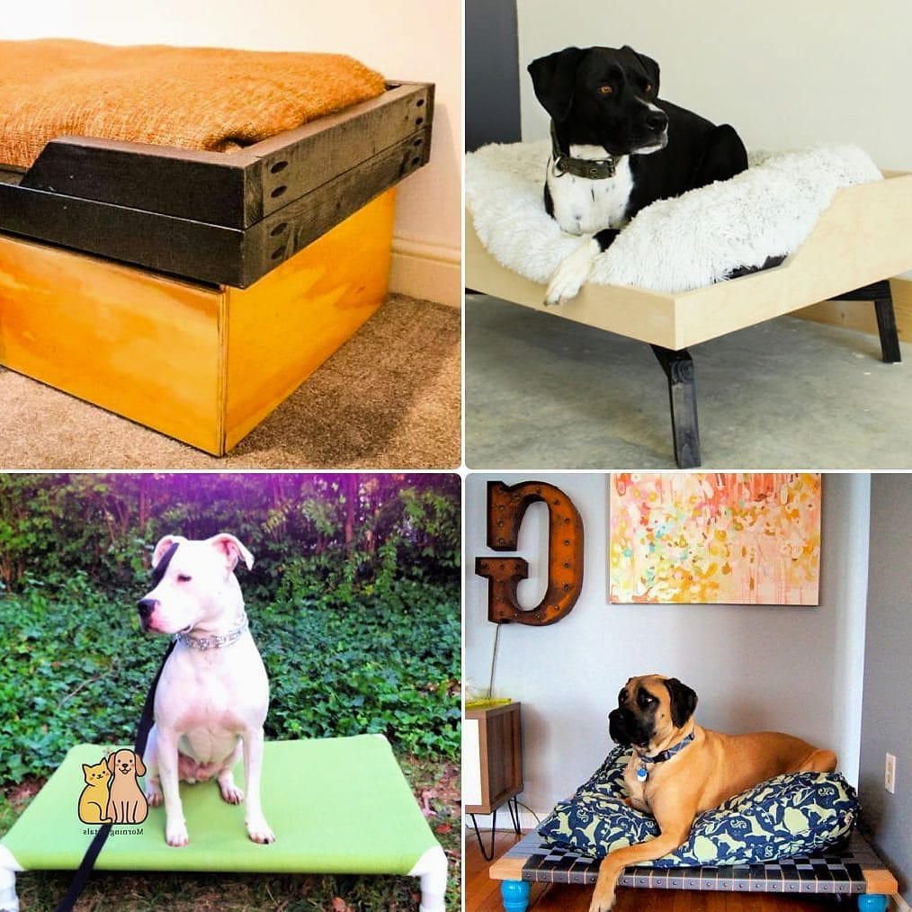 20 Stunning Best Dog Beds You Need in Your Life Right Now 22 Final Thoughts