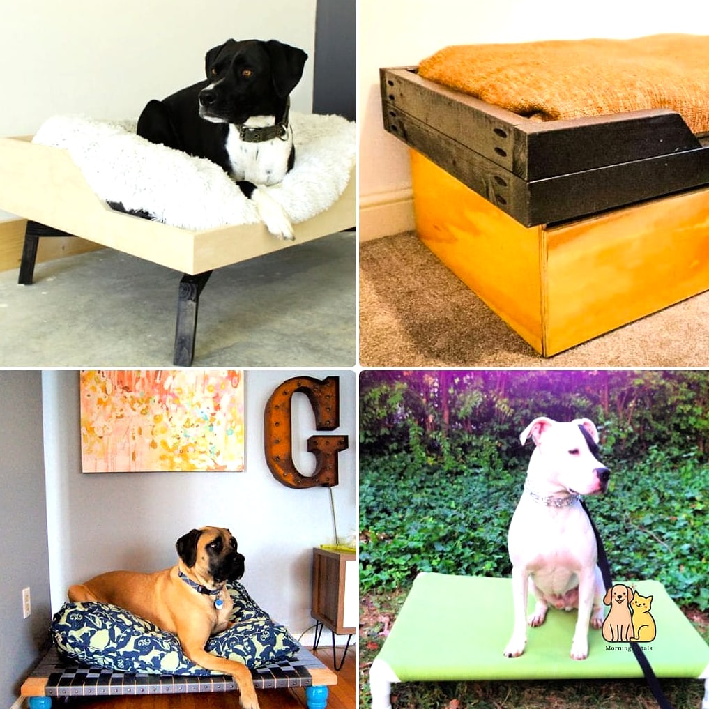 19 Adorable Dog Bed Under Stairs Guaranteed to Make You Smile 20 Final Thoughts