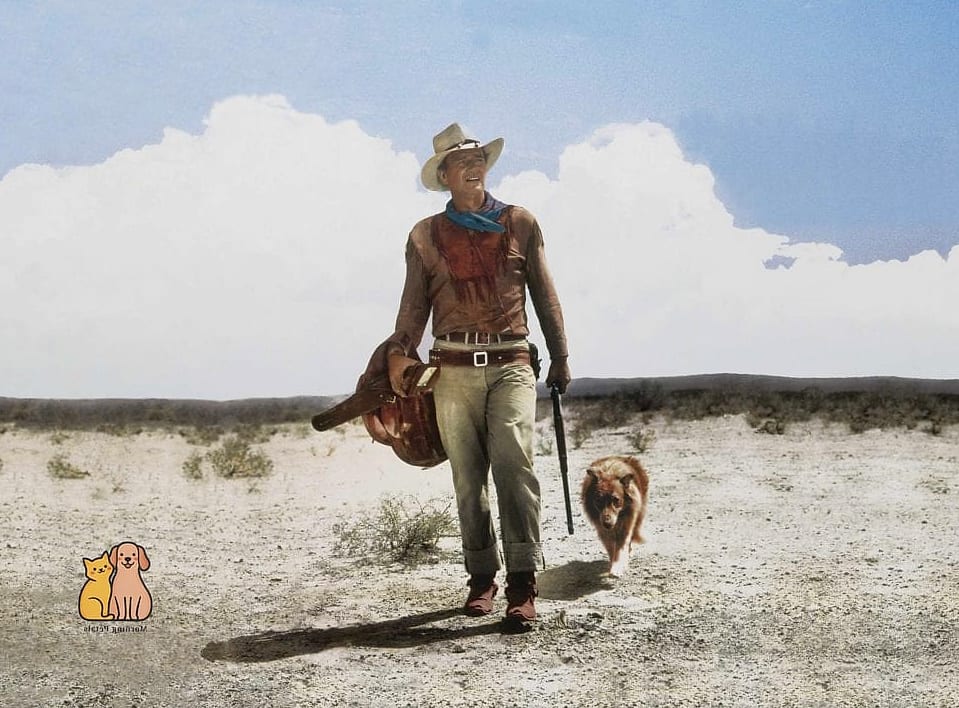 19 Country Western Dog Names That Are Totally Unique and Adorable 22 Final Thoughts