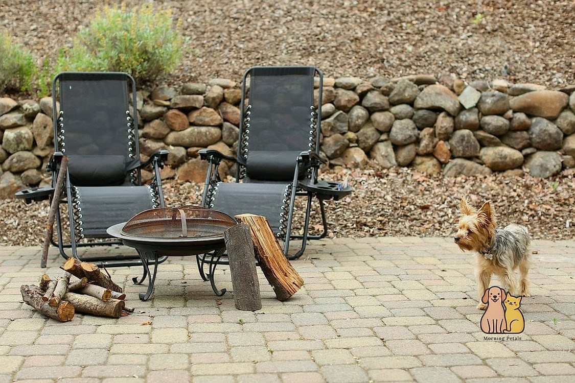A Fire Pit Seating Area (With Dog-Safe Boundaries)
