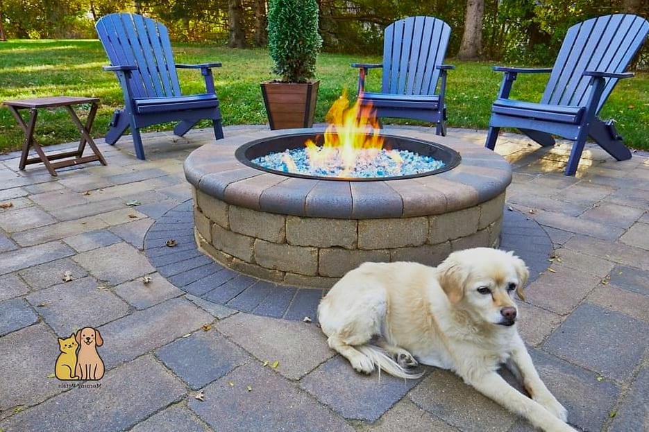 The Fire Pit Companion Bed Area