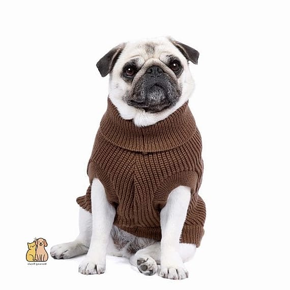 The Fisherman's Rib Sweater with Leash Hole