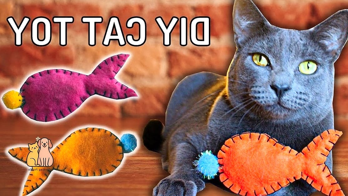 Fleece Fish Toy