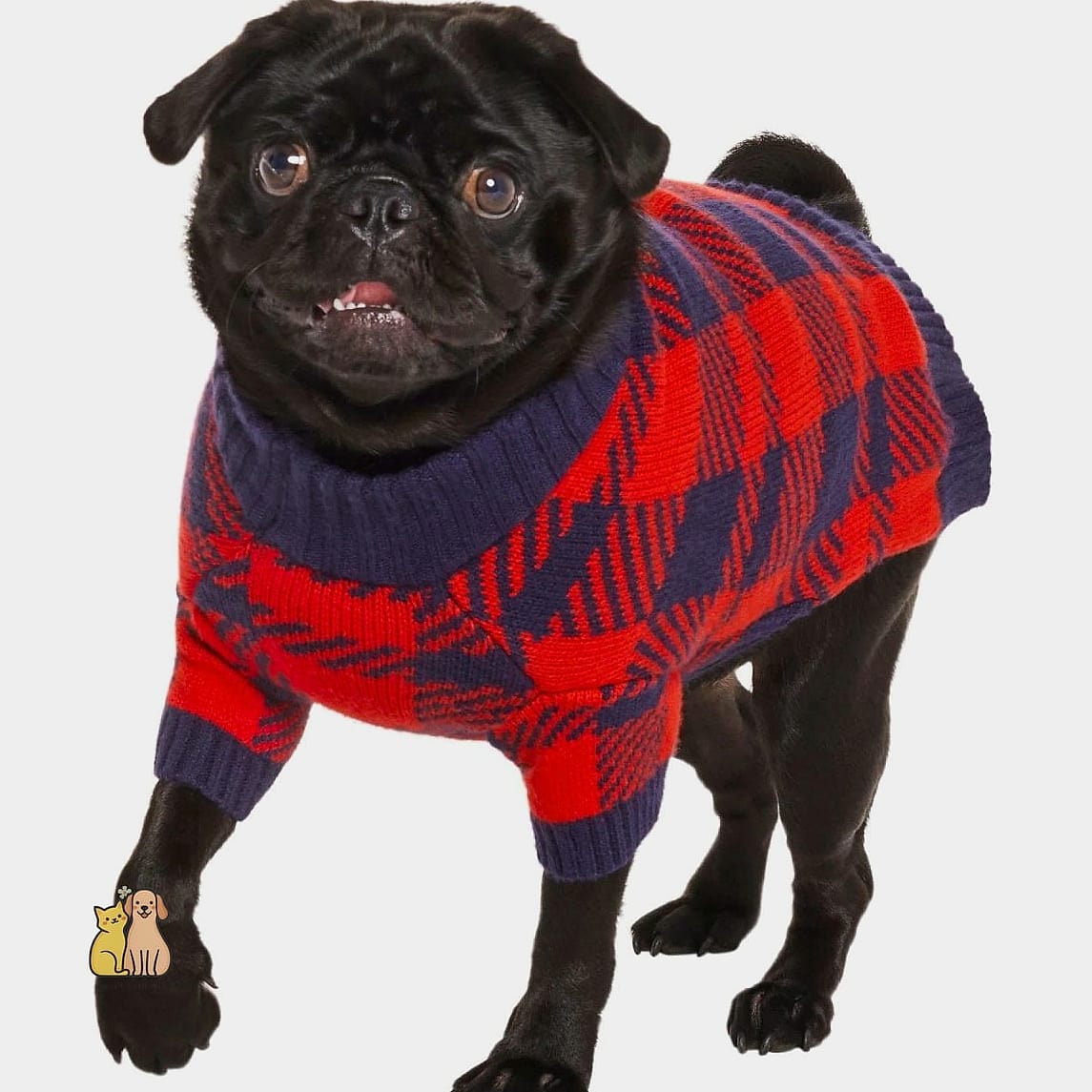 The Fleece-Lined Zip-Up Sweater