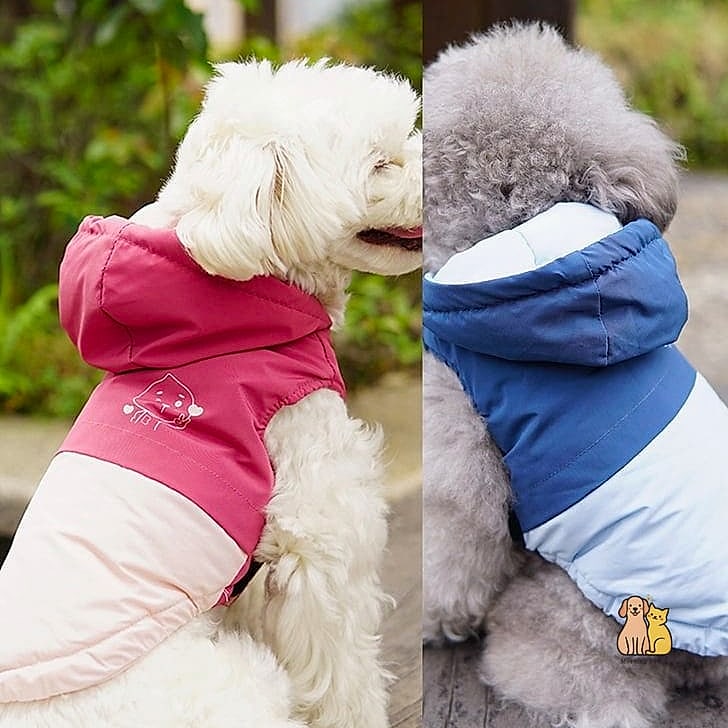 The Fleece-Lined Denim Jacket