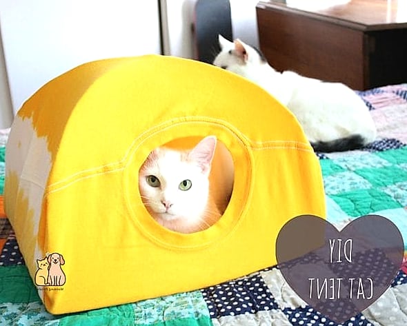 Fleece Tent Bed on a Frame