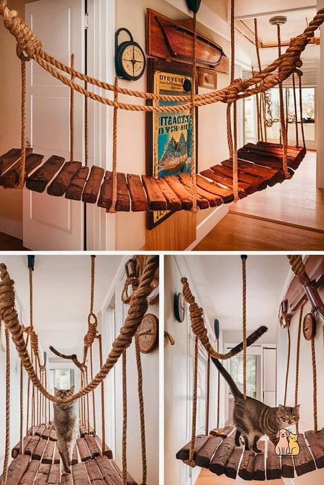 45 Easy Diy Cat Condo to Try Right Now 34 The Floating Bridge Condo