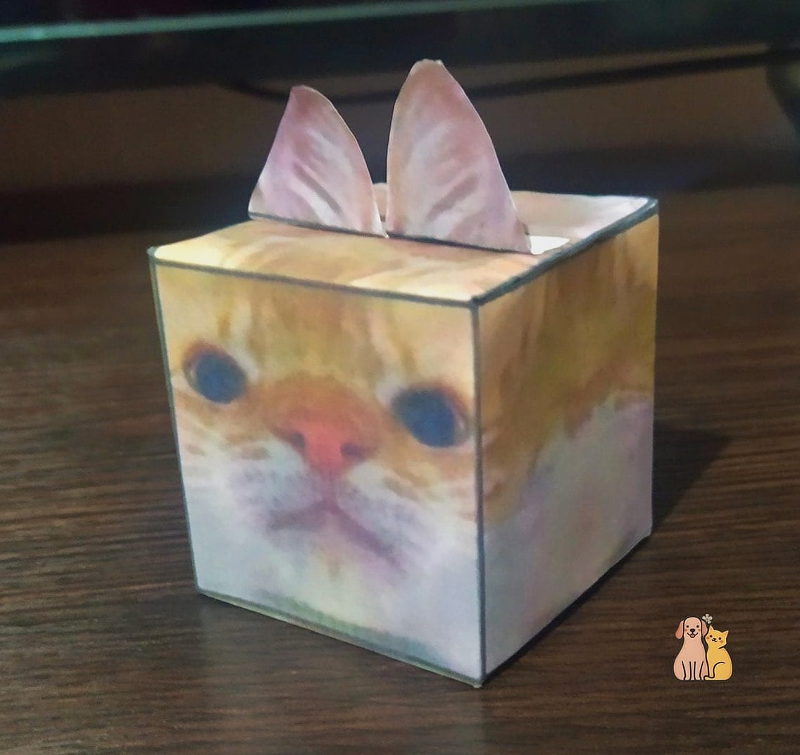 The Floating Cube Shelf