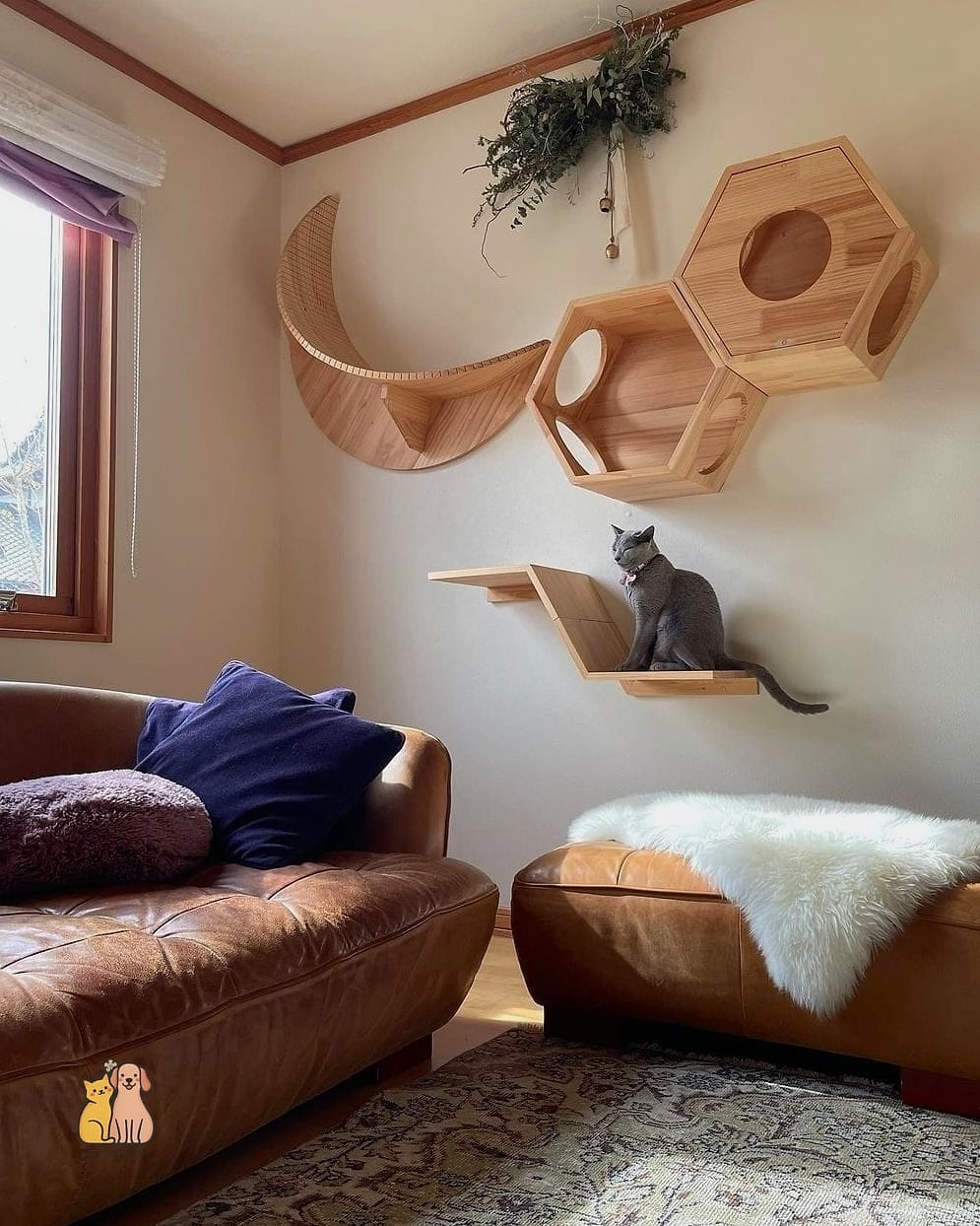 45 Easy Diy Cat Condo to Try Right Now 21 The Floating Shelf Staircase