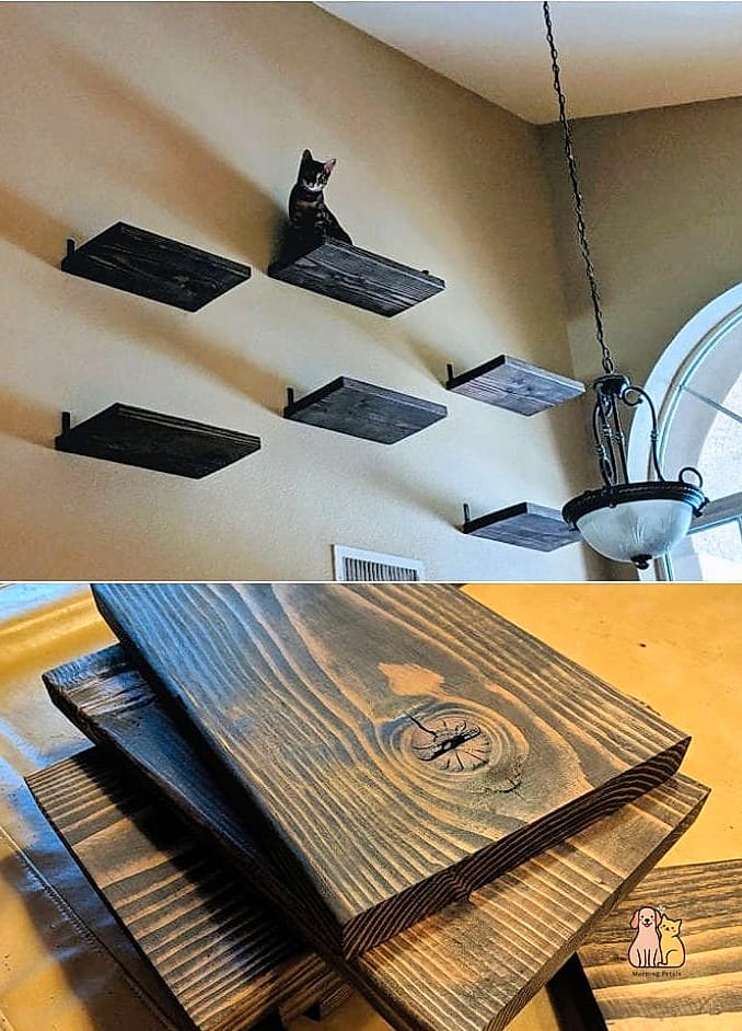 30 Creative Diy Cat Scratchers That Will Inspire You 21 Floating Shelf Scratch Combo