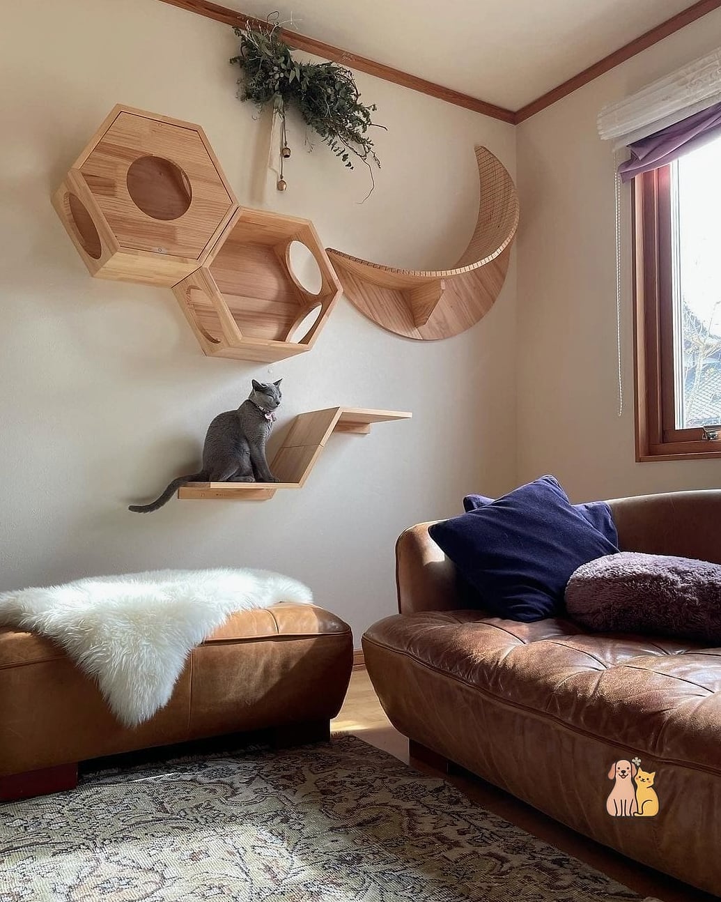 Floating Shelf with Built-In Scratcher