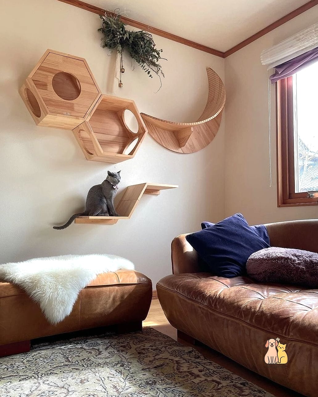 Floating Shelf with Built-In Feeder