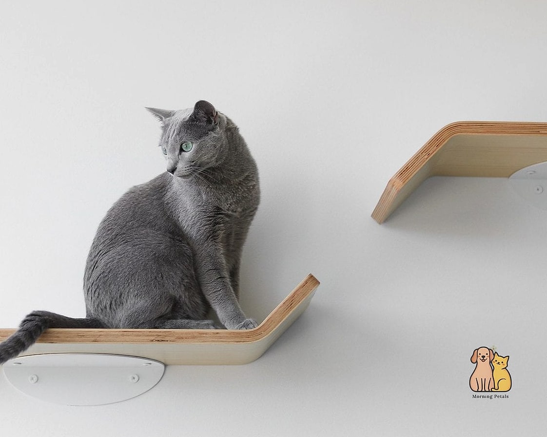 Floating Shelf with Removable Cushion