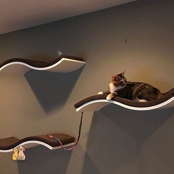 Floating Shelf with LED Accent Lighting