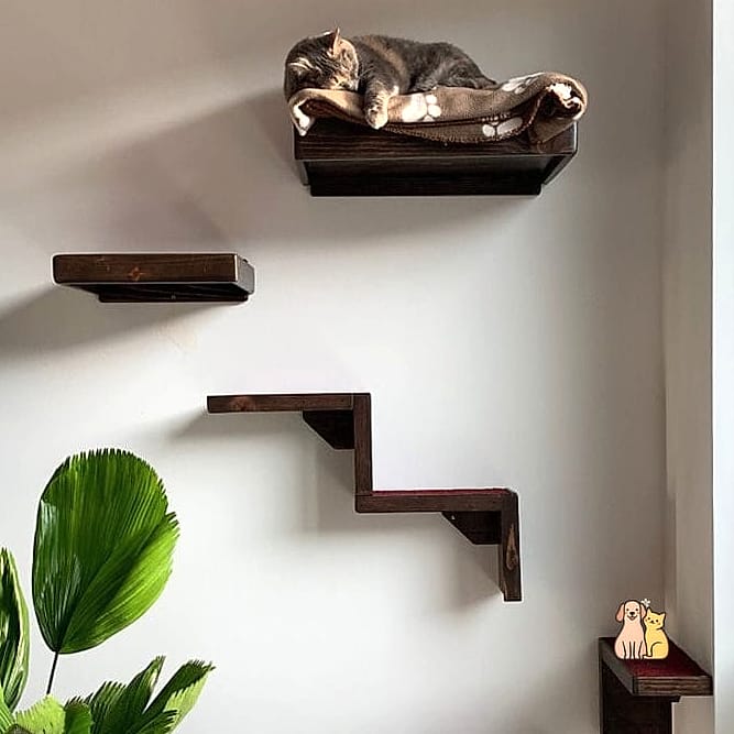 Floating Steps for Senior Cats