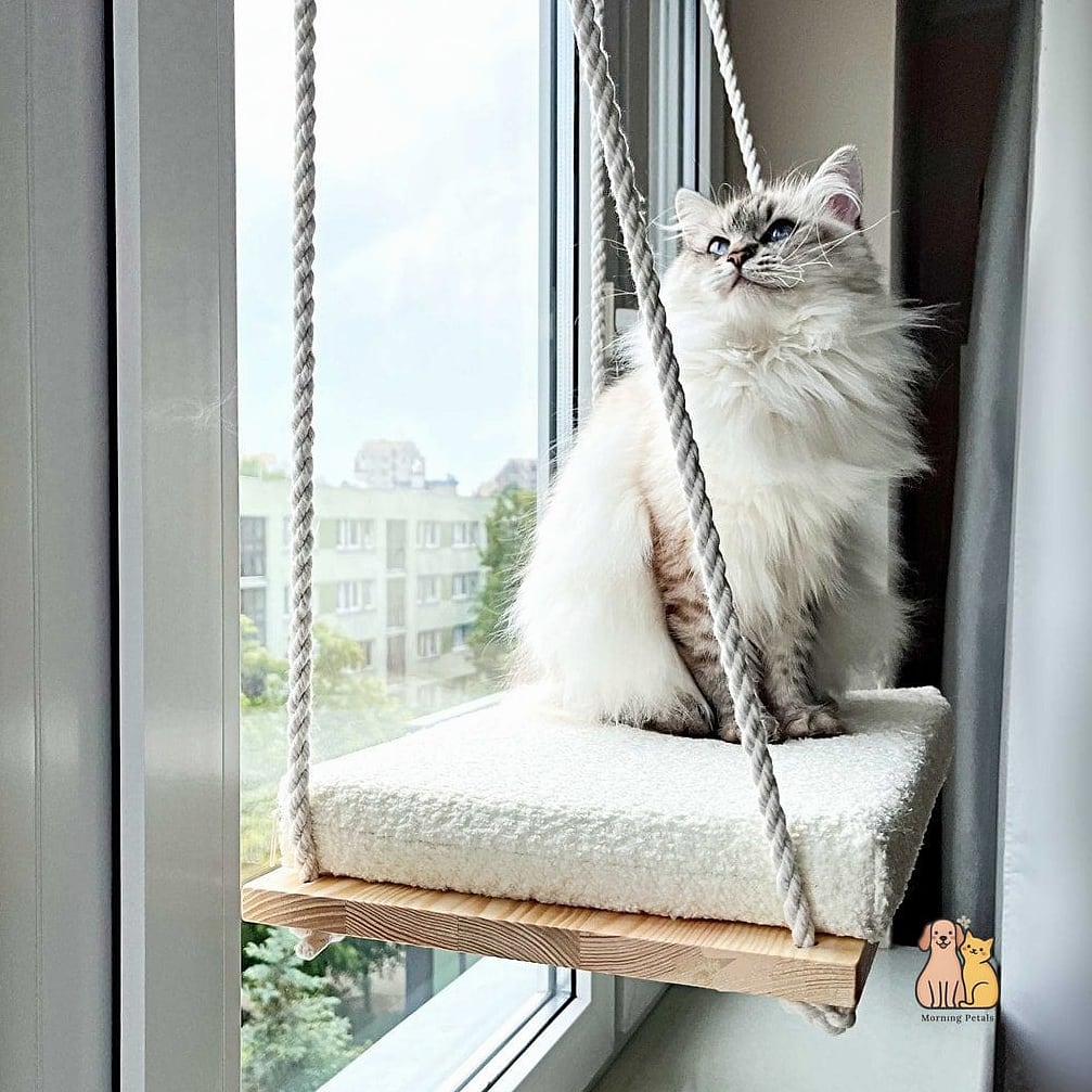 The Floating Window Shelf