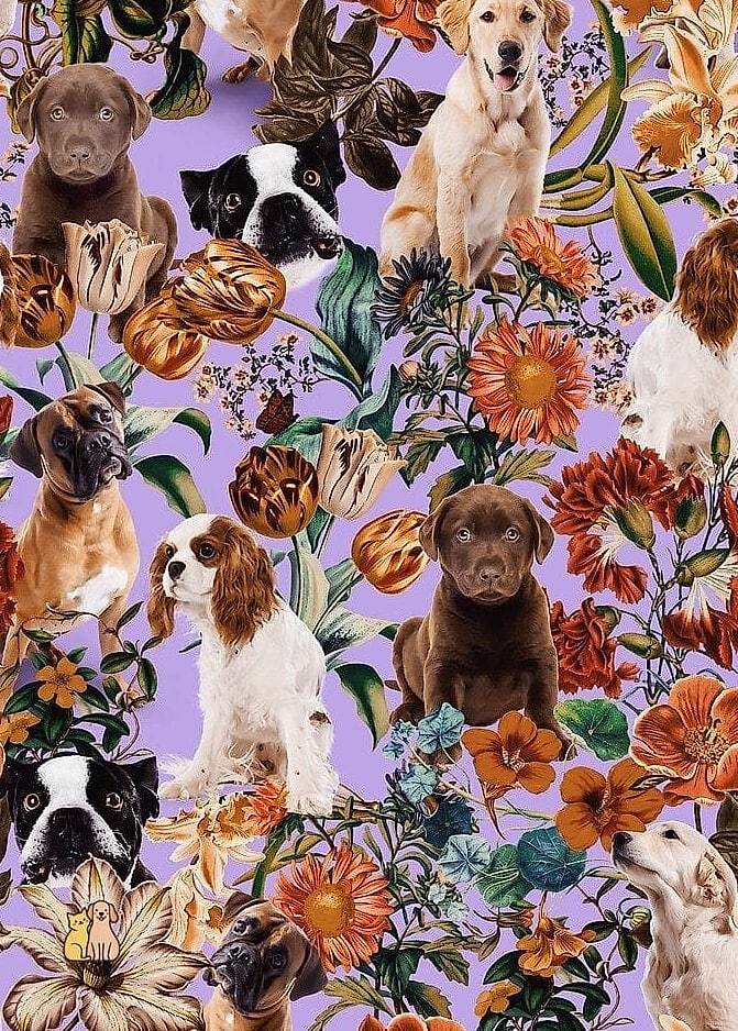 21 Adorable Retractable Dog Leashes That Will Make Your Day 3 The Floral Print Retractable Leash
