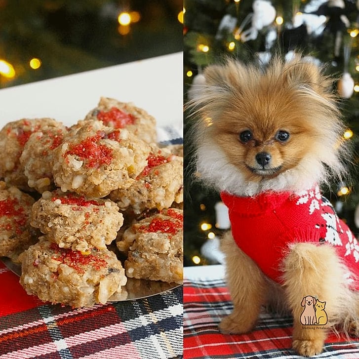25 Amazing Dog Themed Cookies That Prove Pets Are the Best 9 Fluffy Dog Cookies