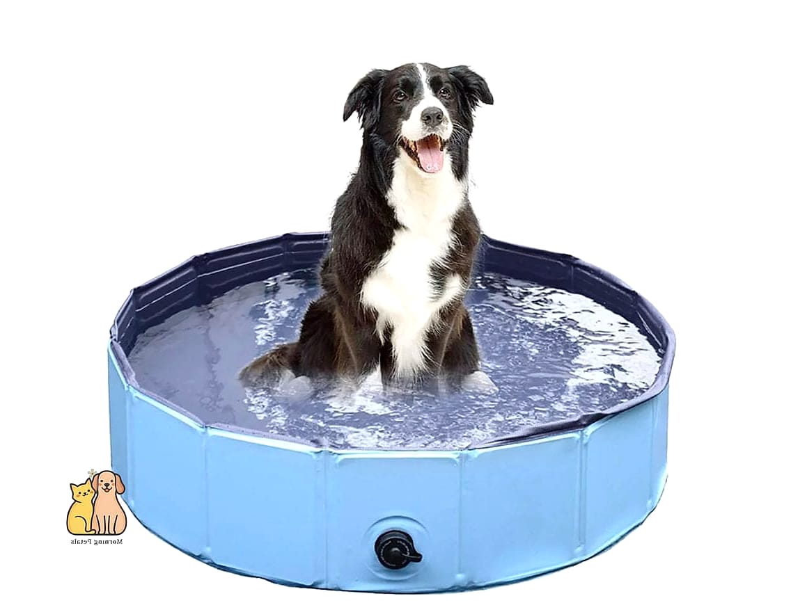 Foldable Fabric Dog Pools
