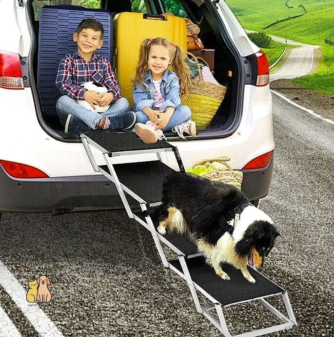 The Foldable Travel Pet Stairs