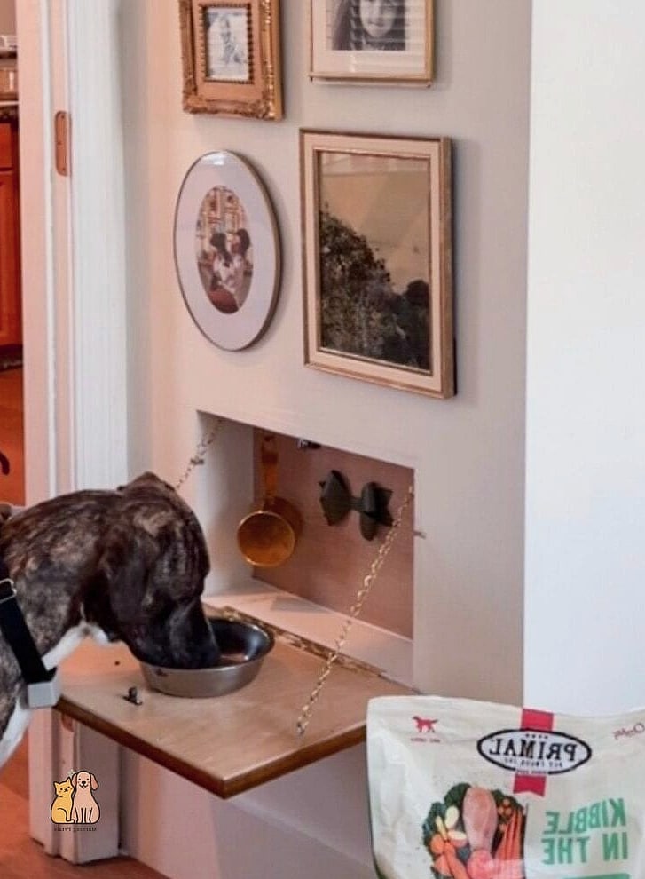 Fold-Away Dog Feeding Station