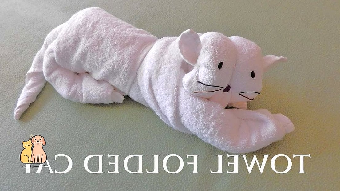 45 Budget-friendly Cat Eating Station Ideas Worth Pinning Immediately 44 The Folded Towel Nook