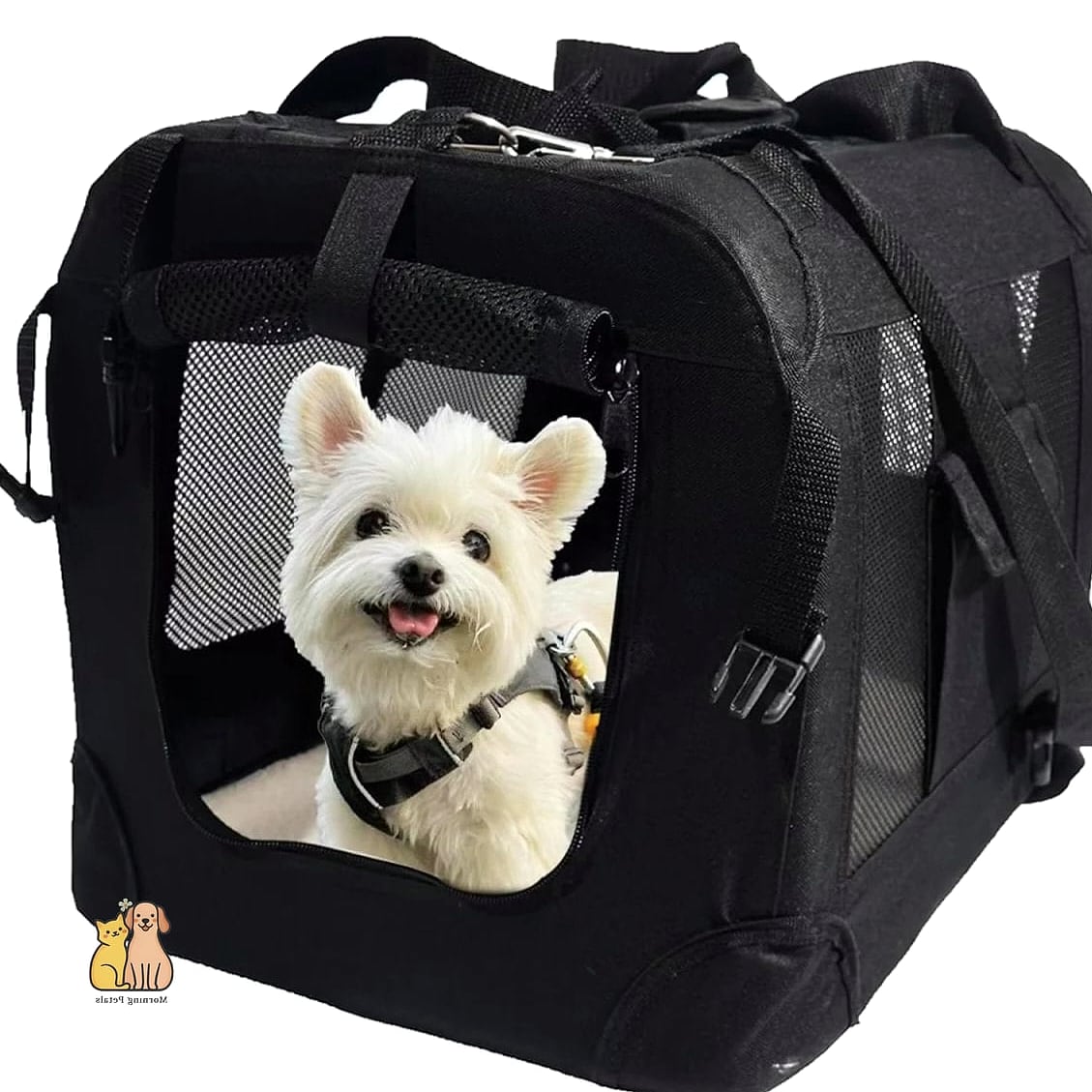 The Fold-Flat Travel Dog House