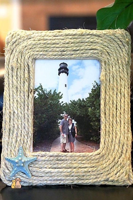 A-Frame Rope and Wood Bridge