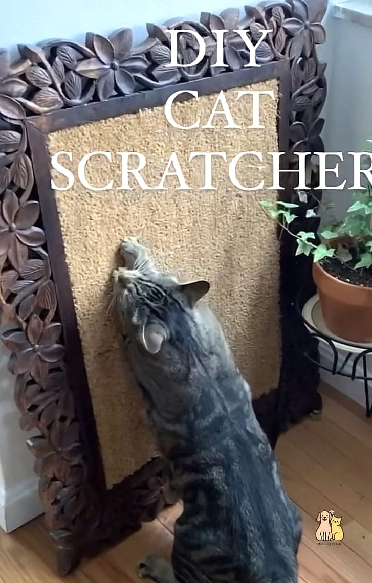 30 Creative Diy Cat Scratchers That Will Inspire You 15 A-Frame Scratch Ramp