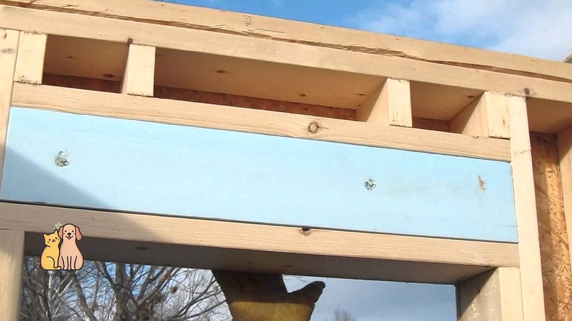 15 Genius Diy Insulated Cat House Worth Pinning Immediately 9 The A-Frame Wood Shelter