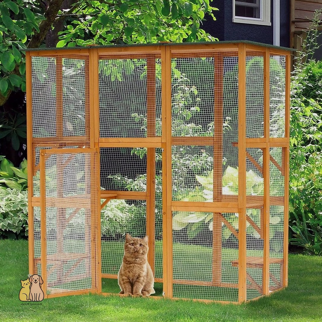 The A-Frame Wooden Enclosure