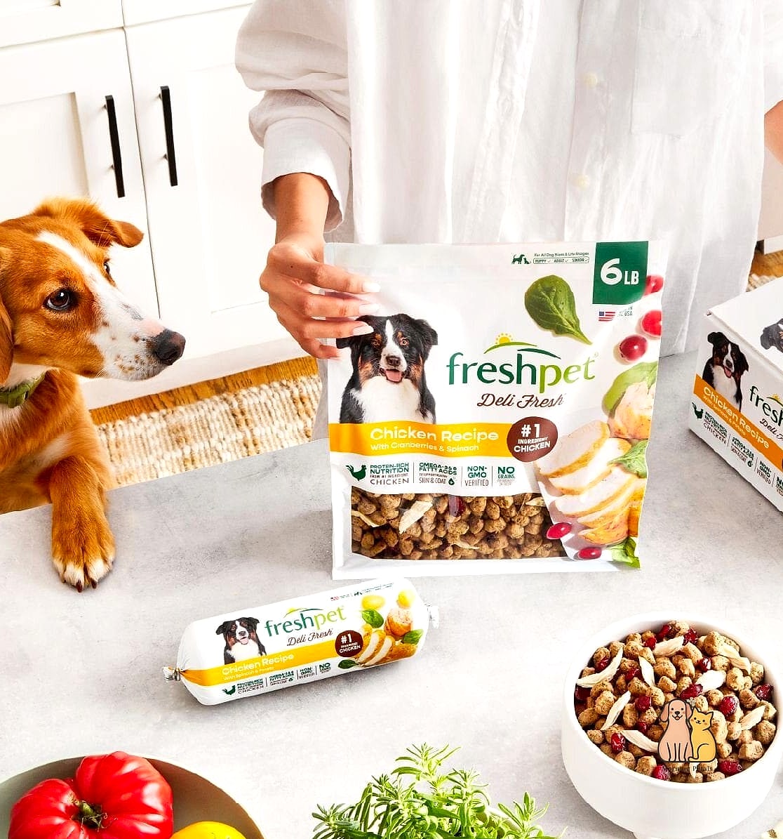 21 Perfect Best Dog Food Brands Your Pet Will Beg For More 15 Freshpet Fresh Dog Food