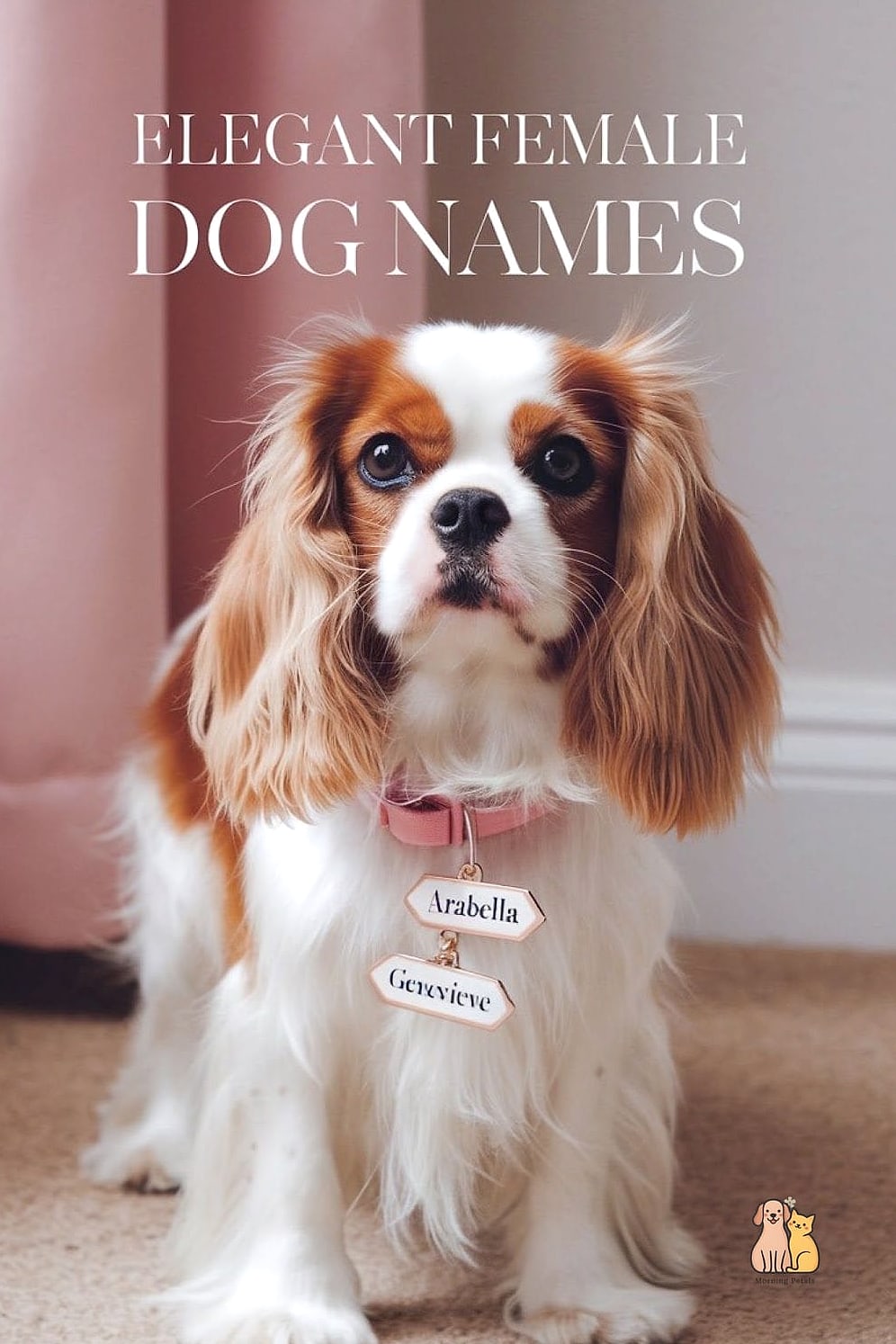 20 Female Dog Names That Are Totally Unique and Adorable 16 Freya