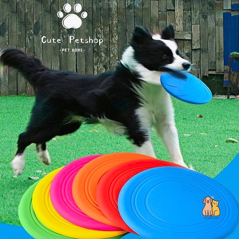 Frisbees