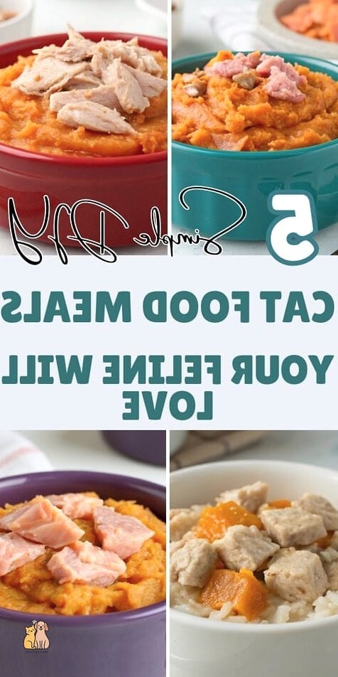 40 Simple Best Cat Food Brands Your Pet Will Beg For More 6 Friskies