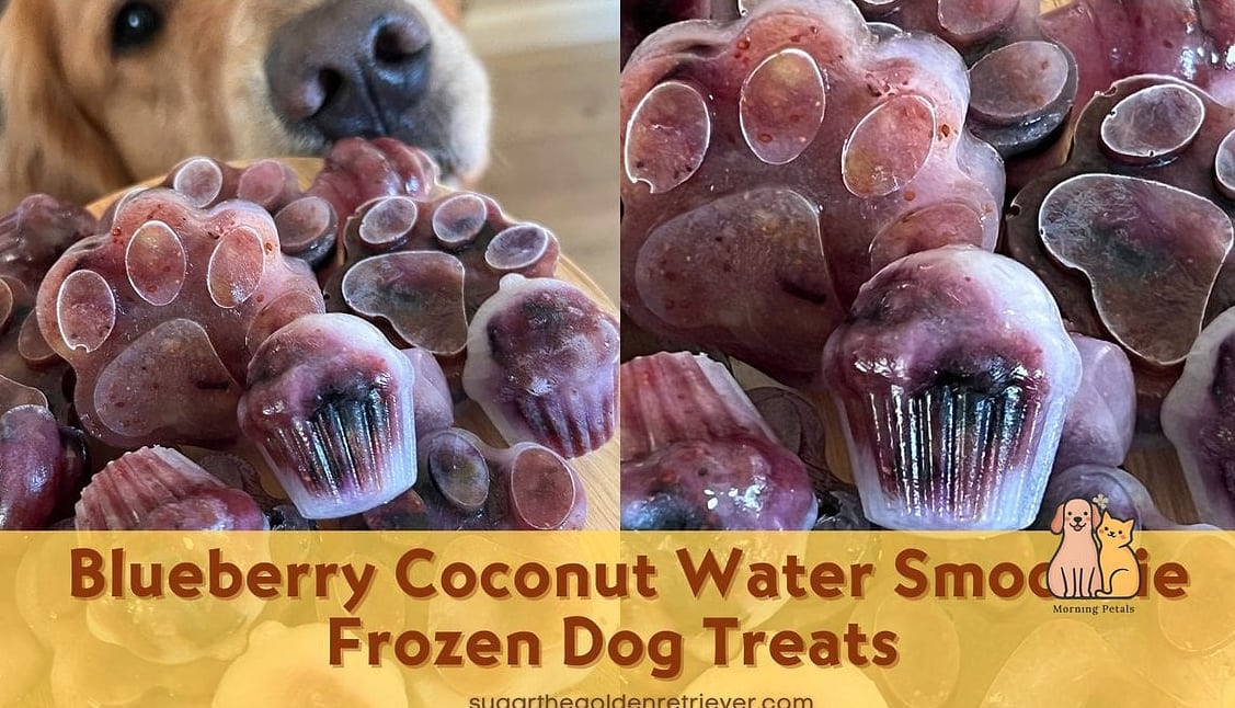 25 Clever Frozen Dog Treats Your Pet Will Beg For More 9 Frozen Blueberry Coconut Treats