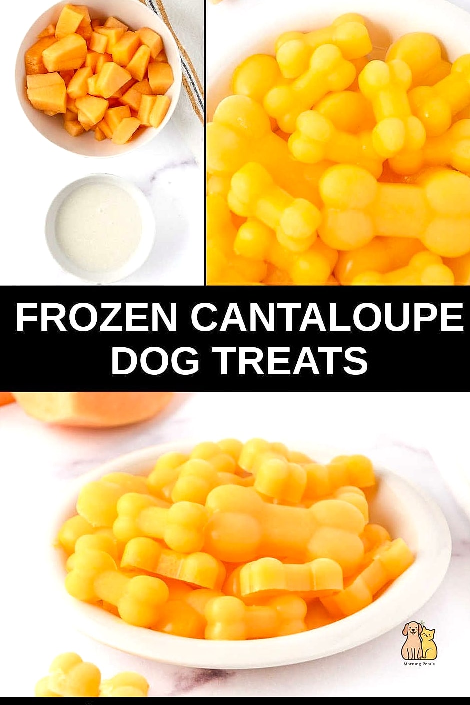 25 Clever Frozen Dog Treats Your Pet Will Beg For More 20 Frozen Cantaloupe Cubes