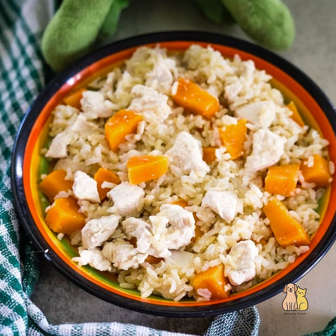 25 Clever Frozen Dog Treats Your Pet Will Beg For More 25 Frozen Chicken and Rice Bites