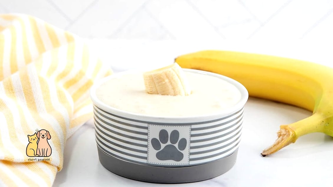 25 Clever Frozen Dog Treats Your Pet Will Beg For More 26 Frozen Dog Smoothie Bowls