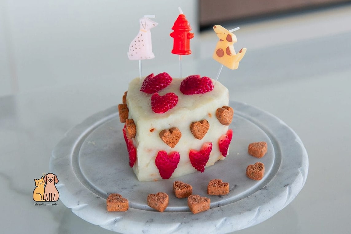 20 Easy Dog Cake Recipes Your Pup Will Go Crazy For 13 Frozen Fruit Dog Cake